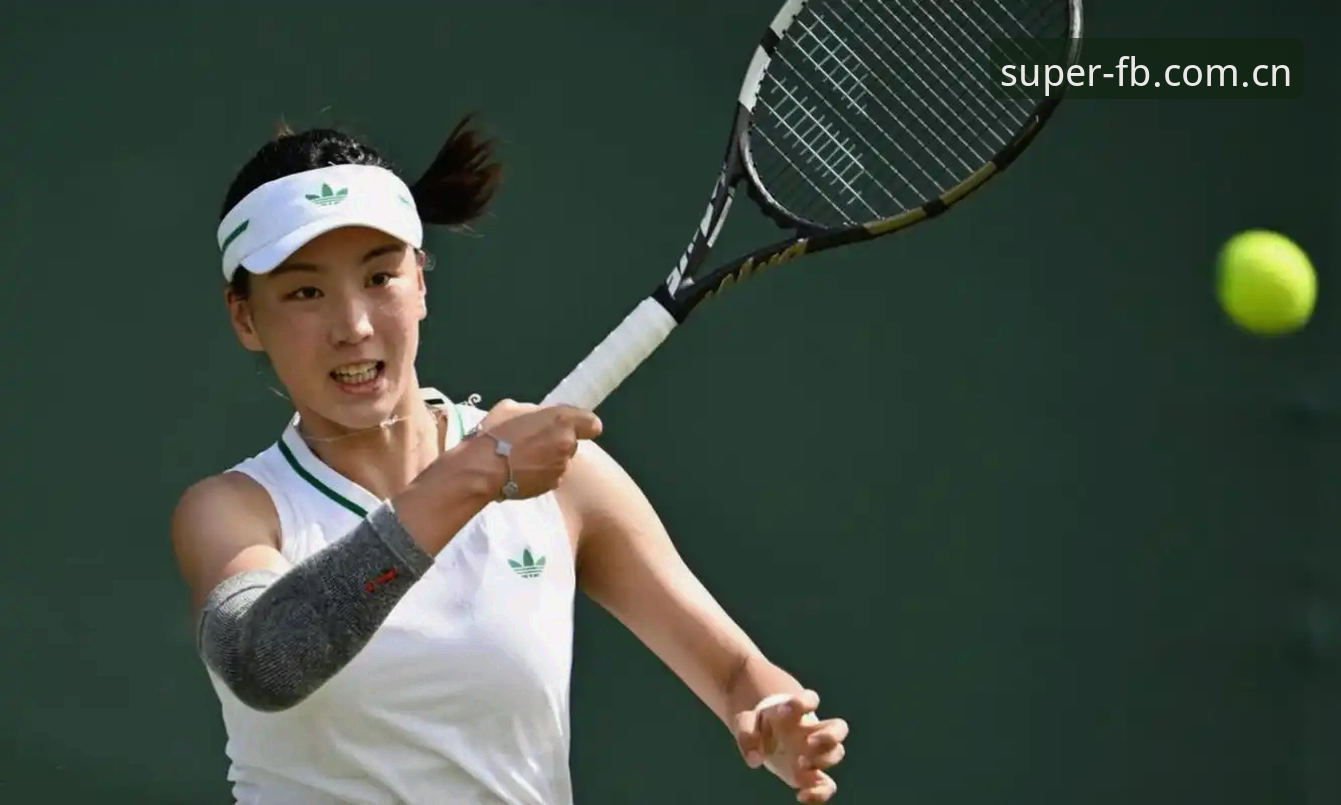 2026法网女单抽签揭晓：郑钦文保分压力与王欣瑜种子征程全面解析